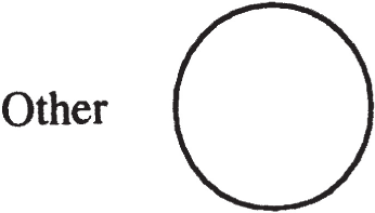 A diagram features a circle without content. To the left, the word Other is placed separately.