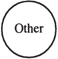 A circle contains the label Other at its center.